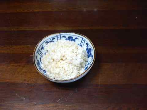 070426Rice1.jpg