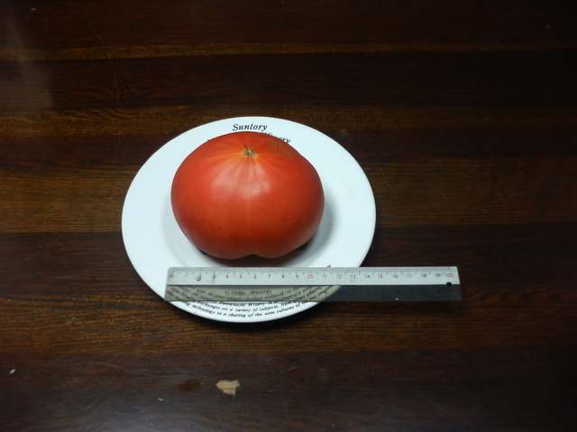 070514tomato.jpg